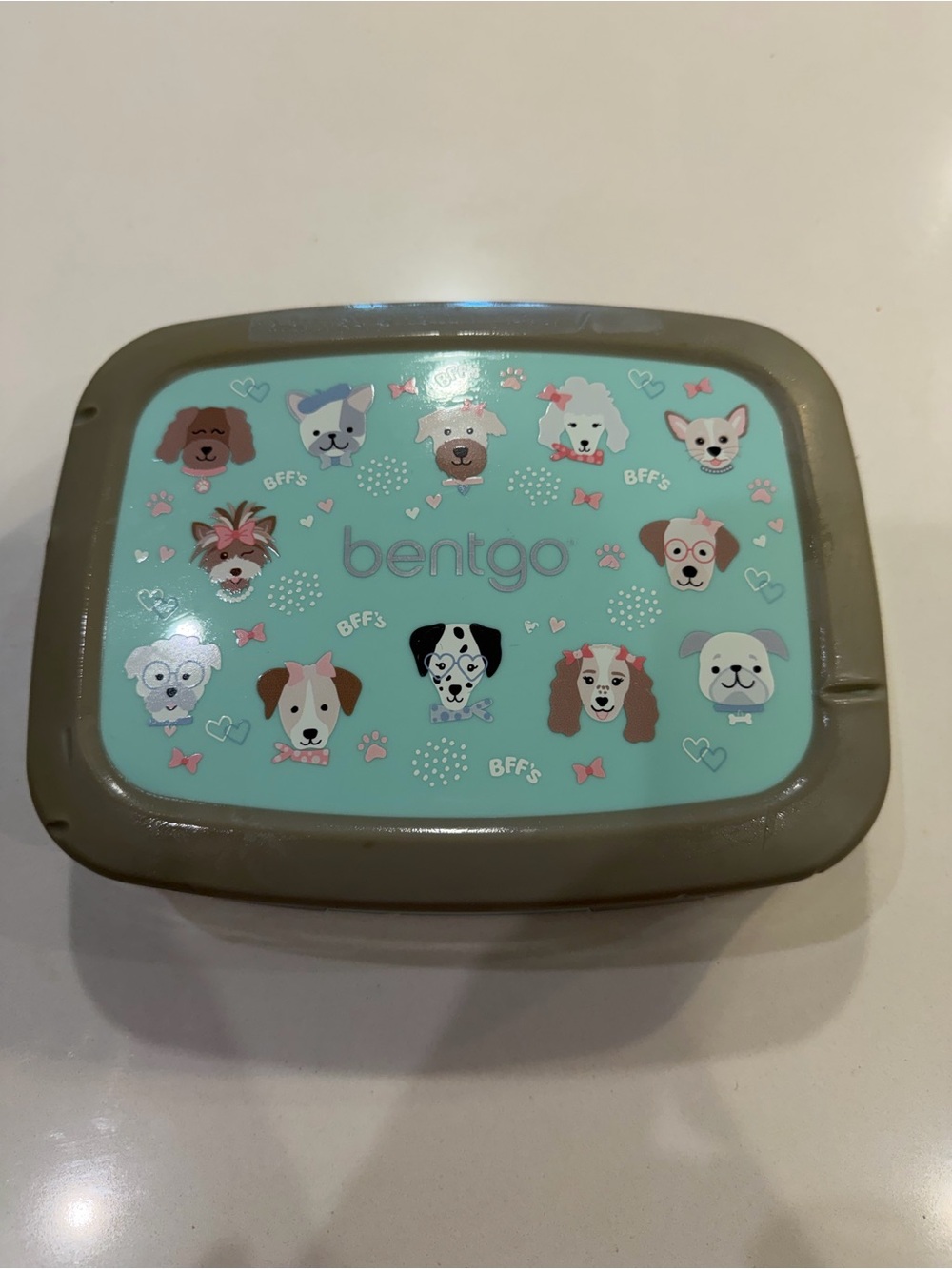 Bentgo Mint and Taupe Pet Food Container with Dog Print set of 2